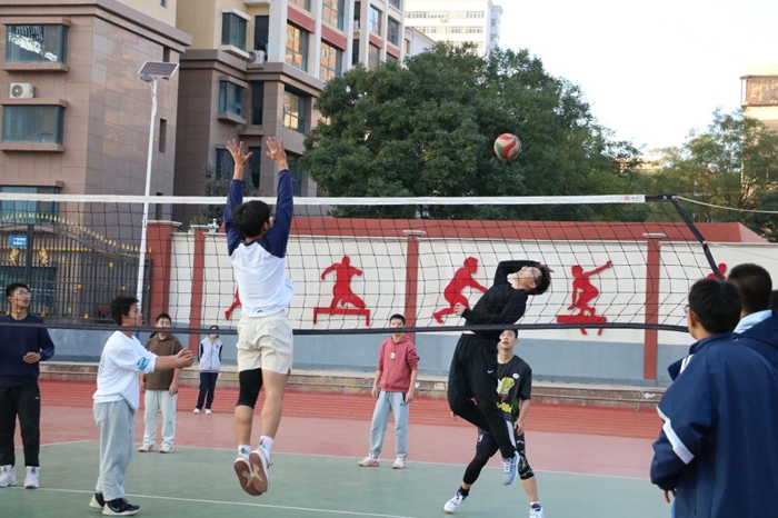 许多顶级球
