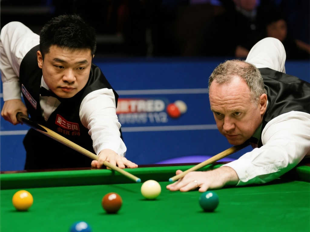 引发了人们 引发了人们