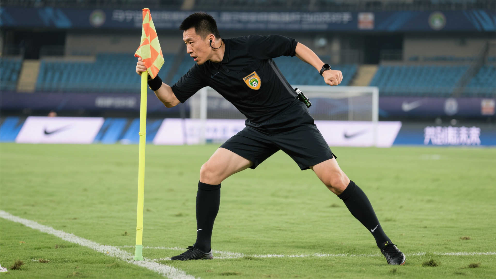 迷和专家对 迷和专家对