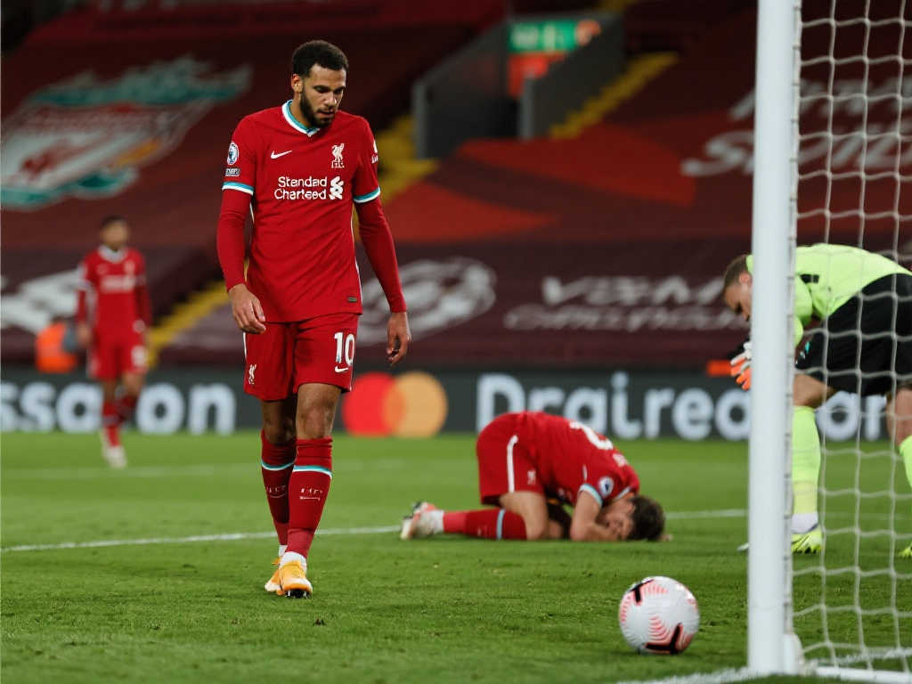 我们看到了 我们看到了