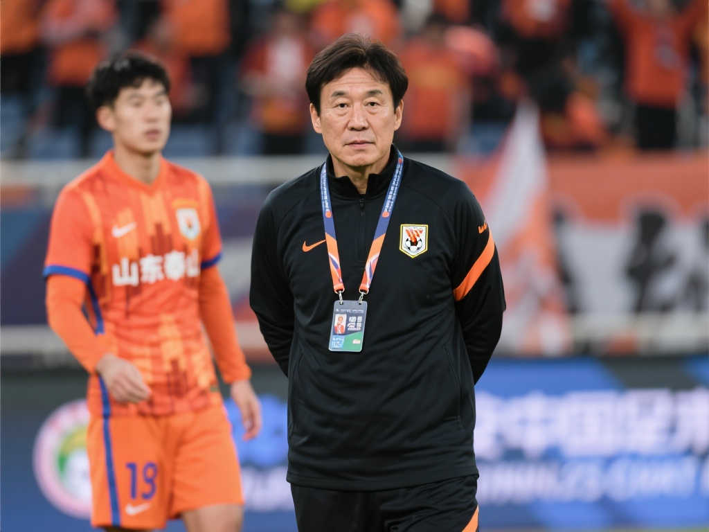 近年来在进 近年来在进