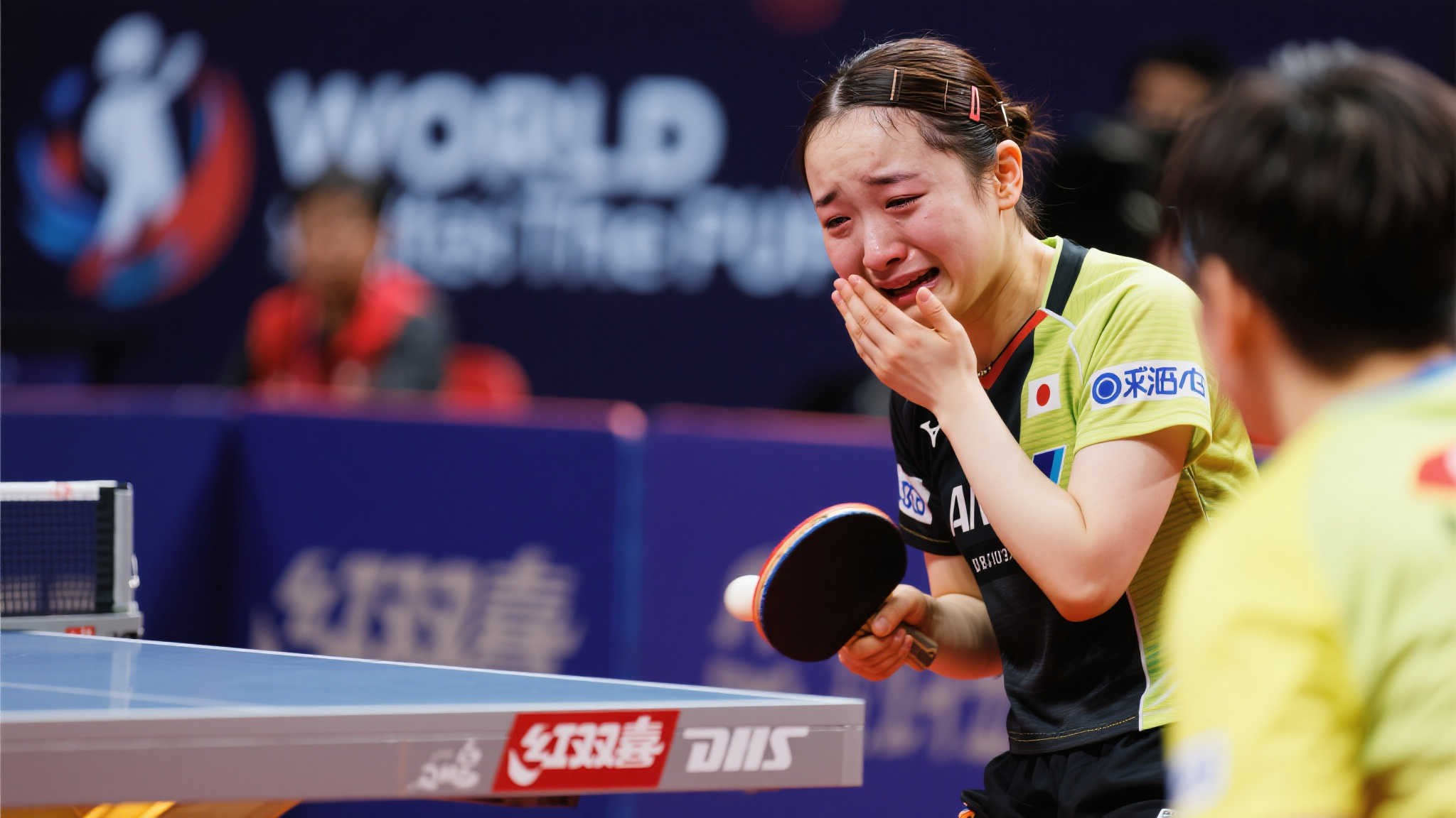 有一些亮眼 有一些亮眼