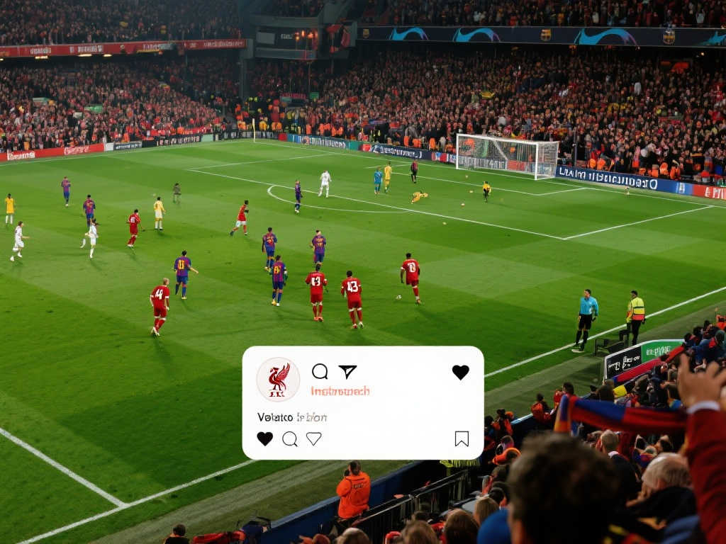 本文将探讨 本文将探讨